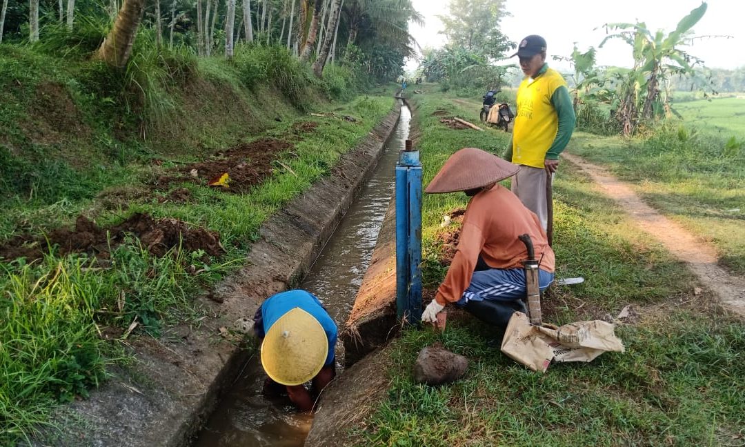 KEGIATAN P3A DESA WLAHAR WETAN GUNA MENGATASI DAMPAK MUSIM KEMARAU
